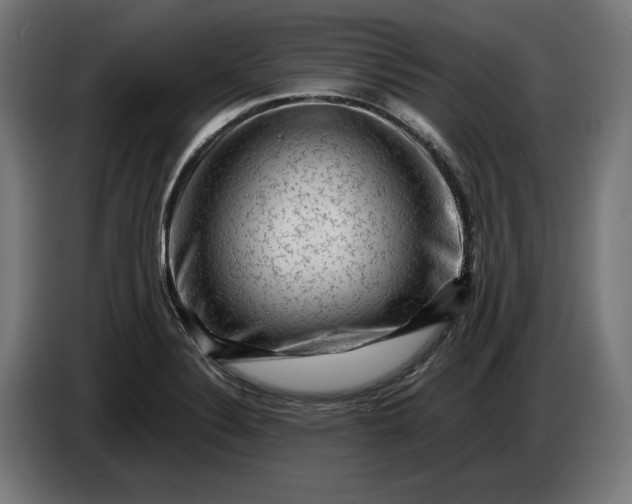 X0000087421324200705041300