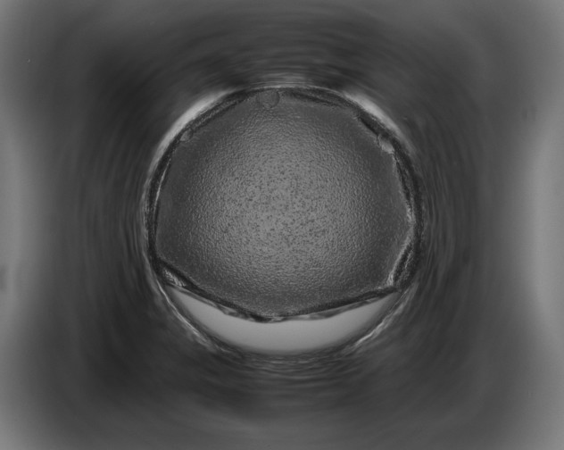 X0000087421325200705041300