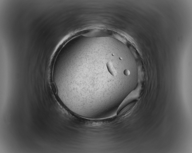 X0000087421326200705041300