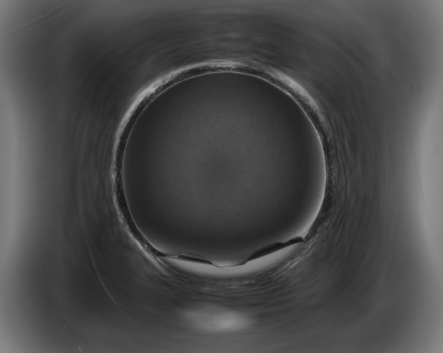 X0000087421327200705041300