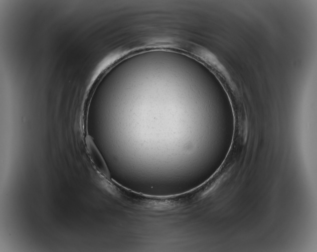 X0000087421328200705041300