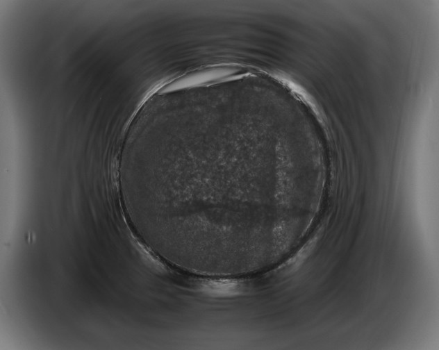 X0000087421329200705041300