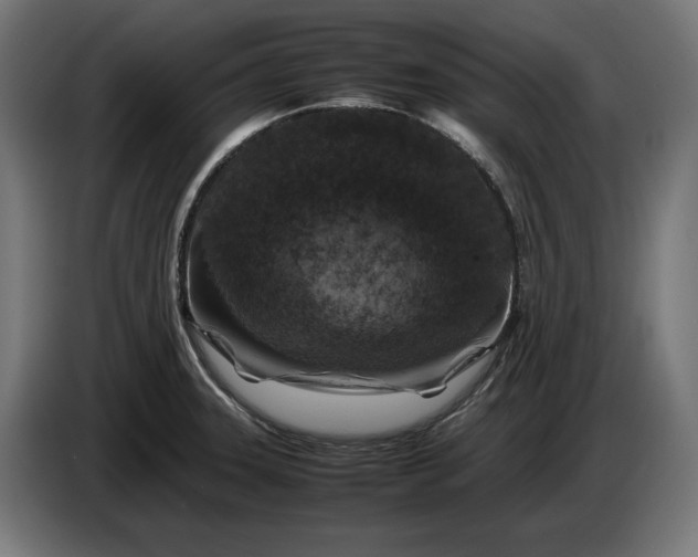 X0000087421331200705041300