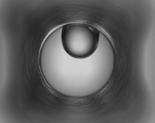 X0000087421332200705041300