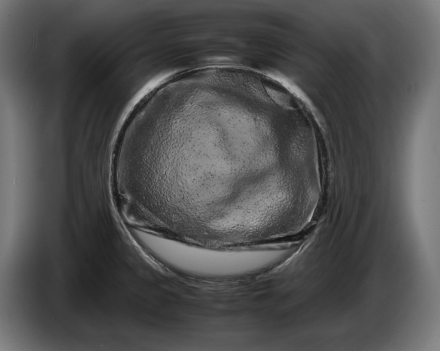 X0000087421333200705041300