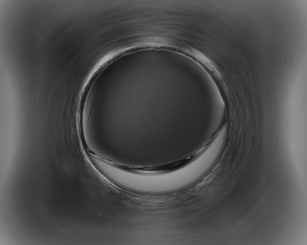 X0000087421334200705041300