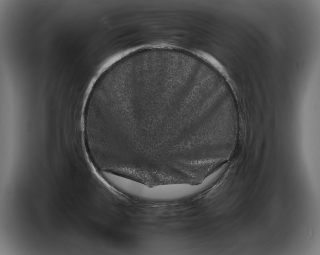 X0000087421335200705041300