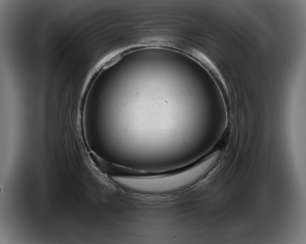 X0000087421336200705041300