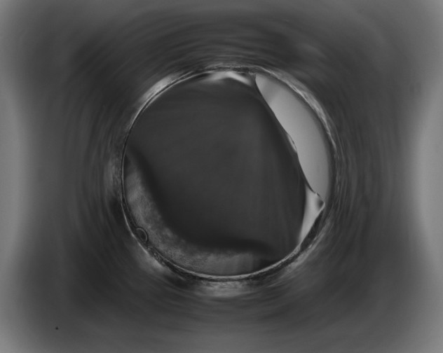 X0000087421337200705041300