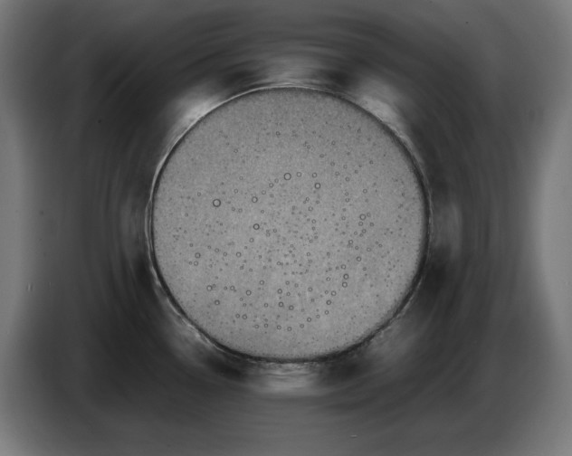 X0000087421338200705041300