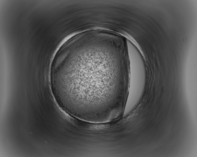 X0000087421339200705041300