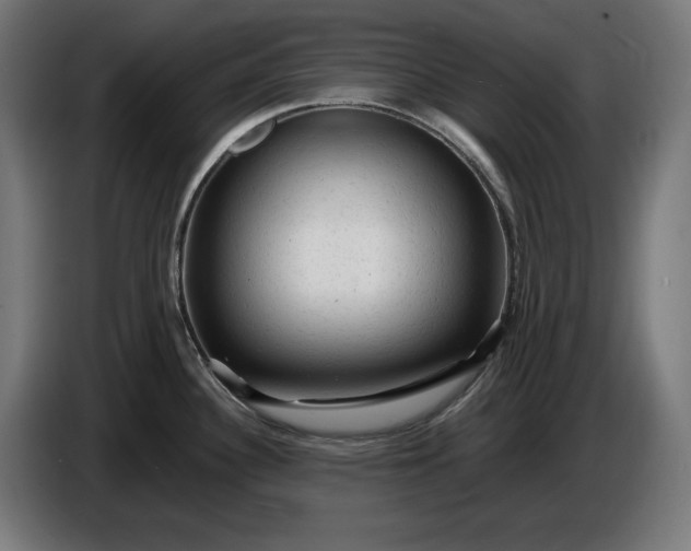 X0000087421340200705041300