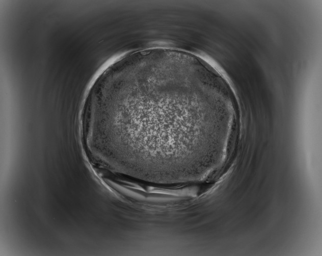 X0000087421341200705041300