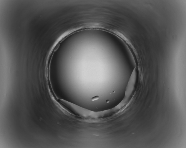 X0000087421342200705041300