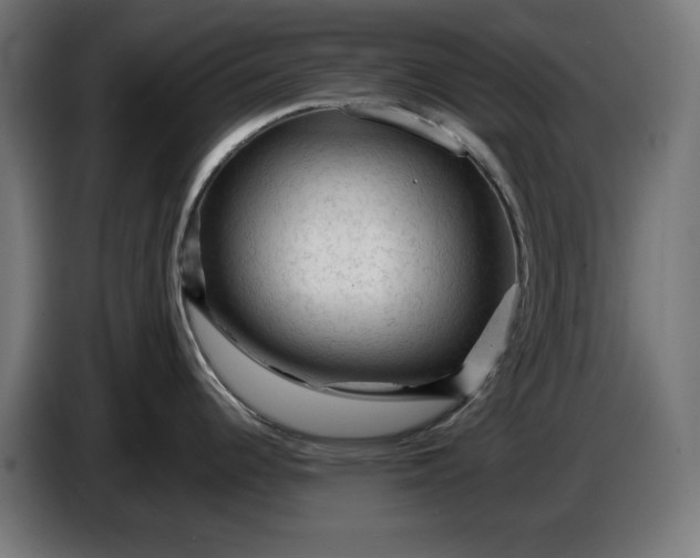 X0000087421344200705041300