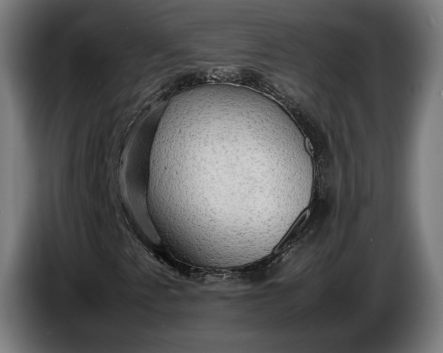 X0000087421345200705041259