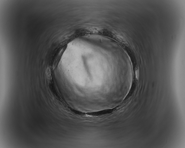 X0000087421347200705041259