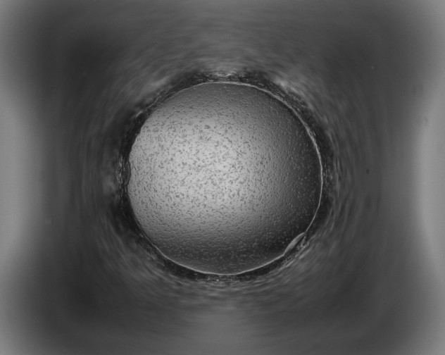 X0000087421349200705041259