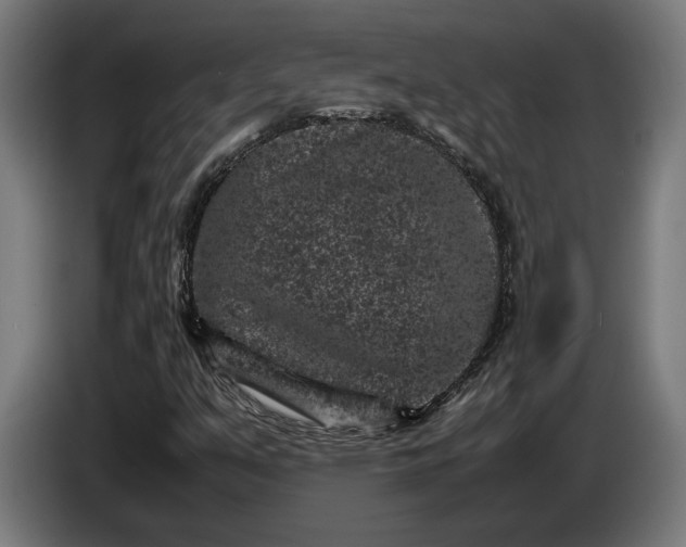 X0000087421351200705041259