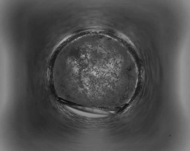 X0000087421352200705041259