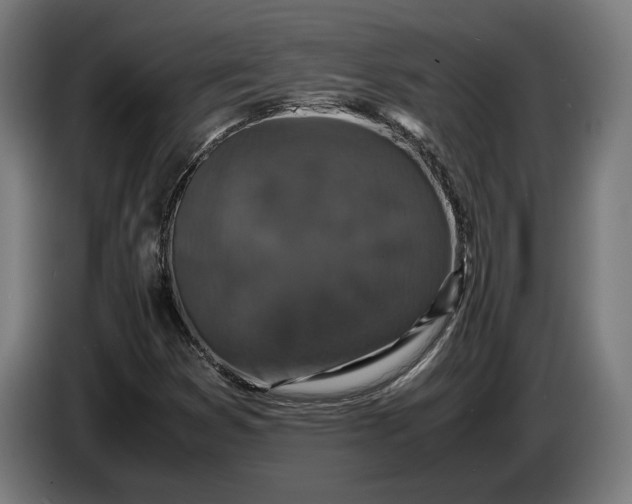 X0000087421353200705041259