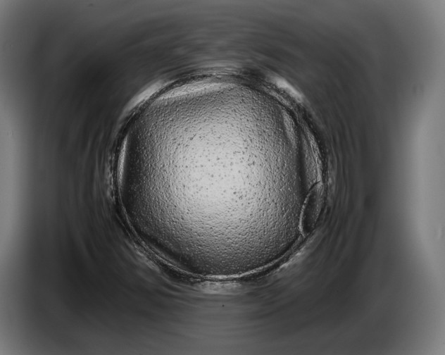 X0000087421354200705041259