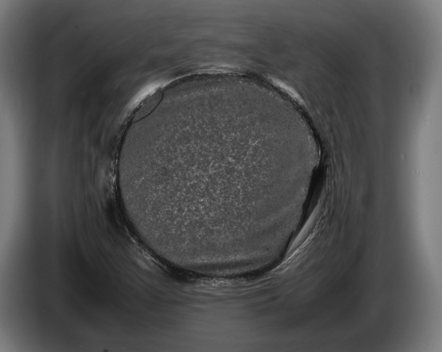 X0000087421355200705041259