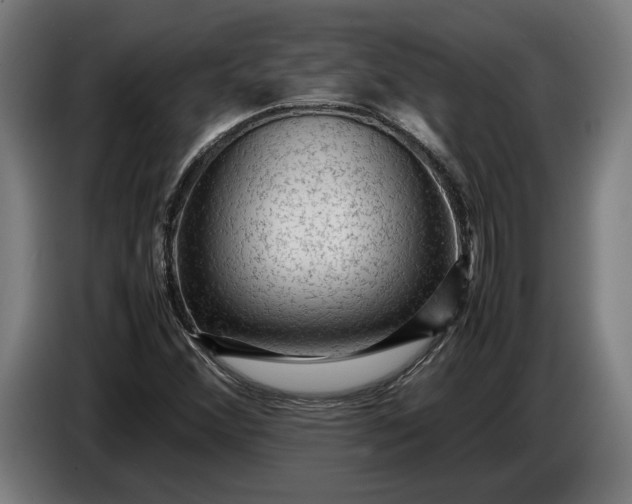 X0000087421356200705041259