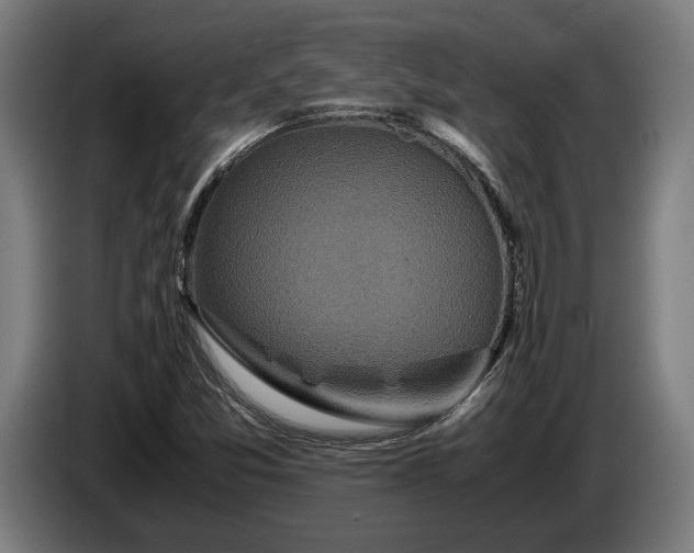 X0000087421357200705041259