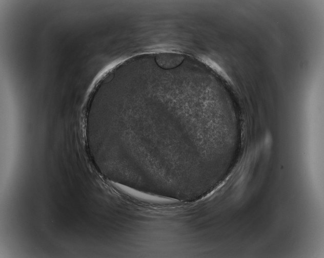 X0000087421358200705041259