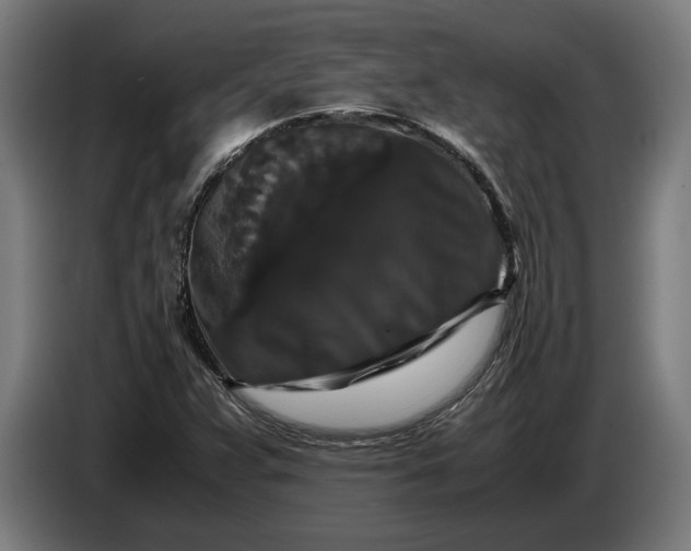 X0000087421359200705041259