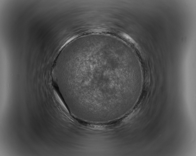 X0000087421361200705041259