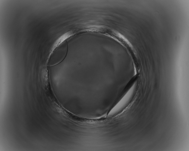 X0000087421362200705041259