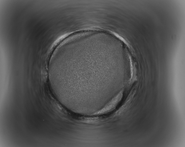 X0000087421363200705041259