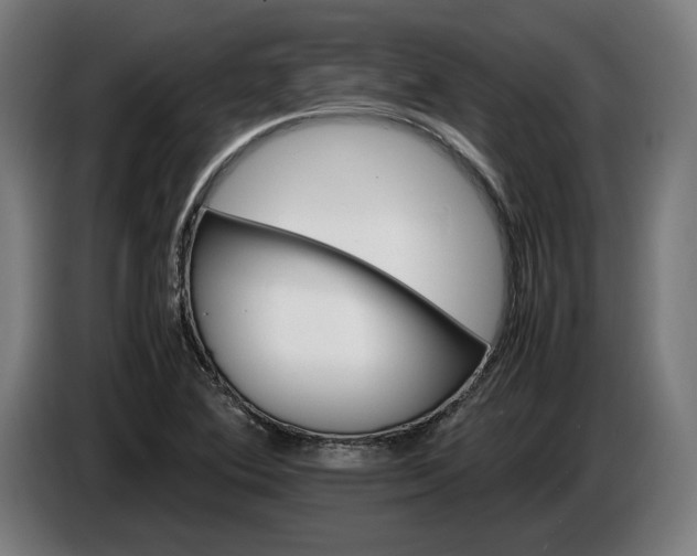 X0000087421364200705041259