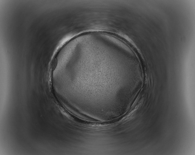 X0000087421366200705041259