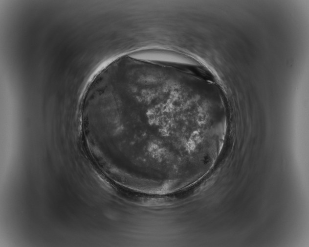 X0000087421367200705041259