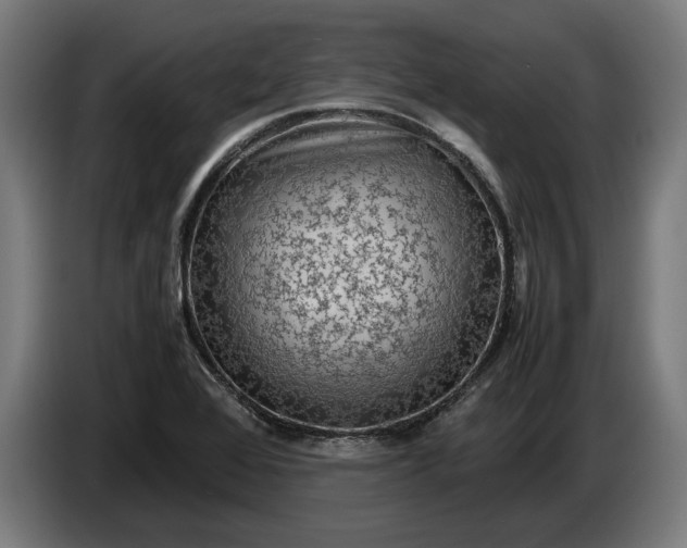 X0000087421368200705041259