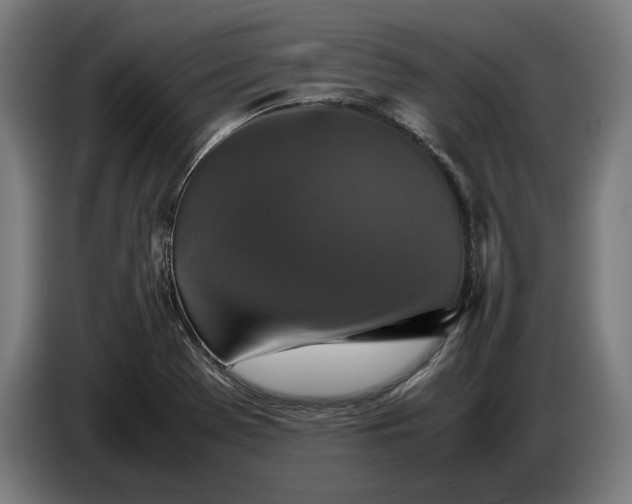 X0000087421369200705041259