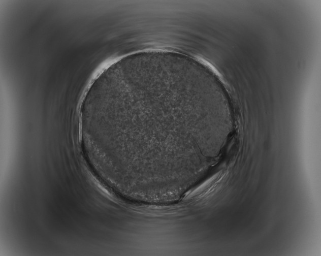 X0000087421371200705041259