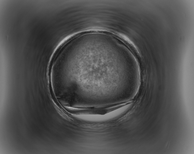 X0000087421372200705041259