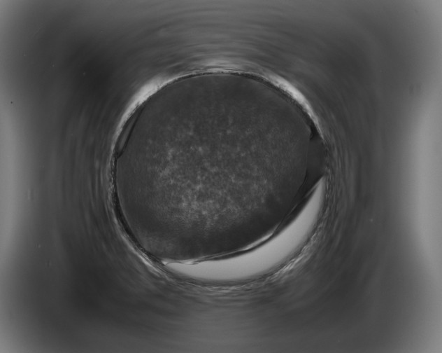 X0000087421373200705041259