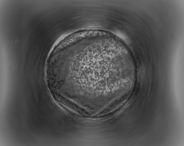 X0000087421374200705041259