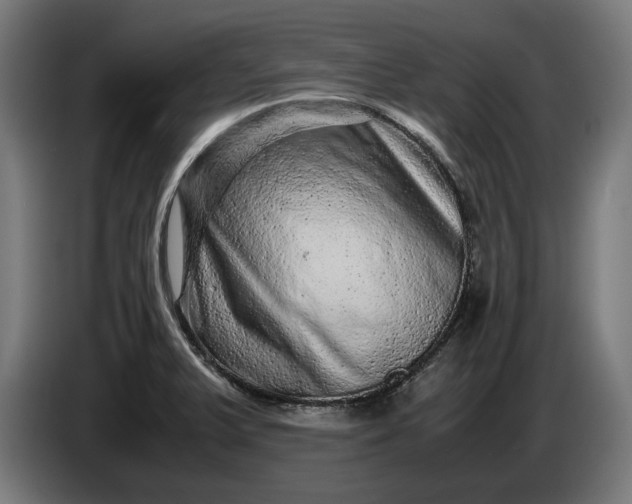 X0000087421375200705041259