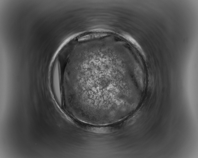 X0000087421376200705041259