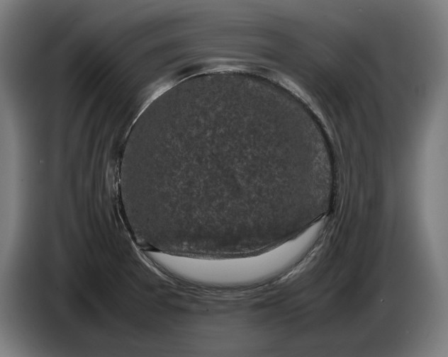 X0000087421377200705041259