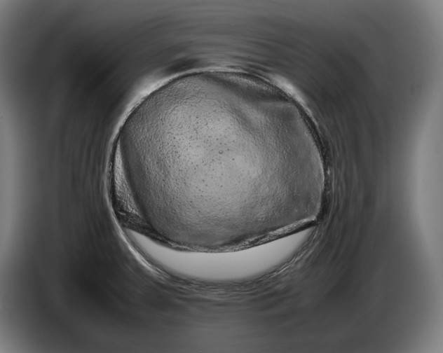 X0000087421379200705041259