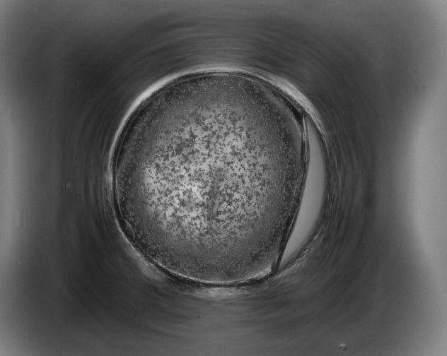 X0000087421380200705041259