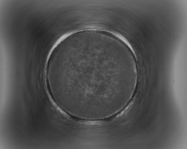 X0000087421381200705041259