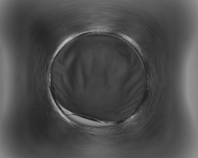 X0000087421383200705041259